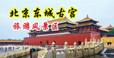 嗯啊~好痛,,教室里的娇喘中国北京-东城古宫旅游风景区